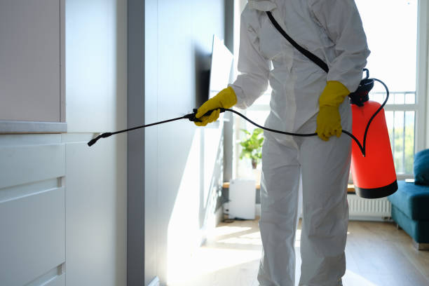 Best Bathroom Mold Remediation in Tiffin, OH