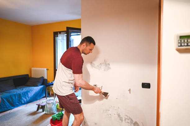 Best Basement Mold Remediation in Tiffin, OH
